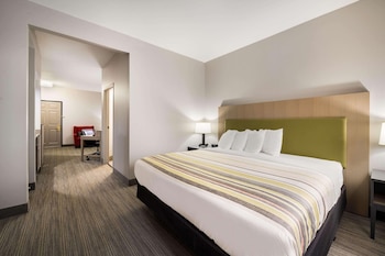 Suite, 1 King Bed with Sofa bed, Non Smoking