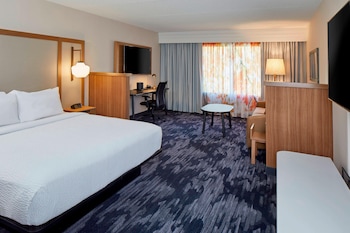 Suite, 1 King Bed with Sofa bed