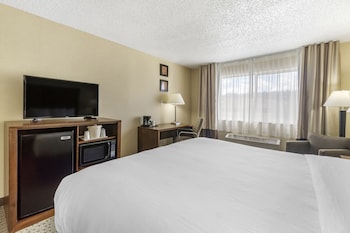Standard Room, 1 King Bed, Non Smoking