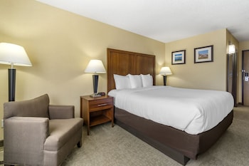 Standard Room, 1 King Bed, Non Smoking
