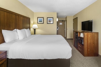 Standard Room, 1 King Bed, Non Smoking