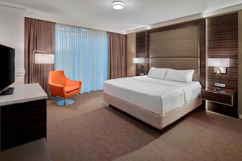Executive Suite, 1 King Bed with Sofa bed