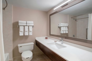 Signature Room, 1 King Bed