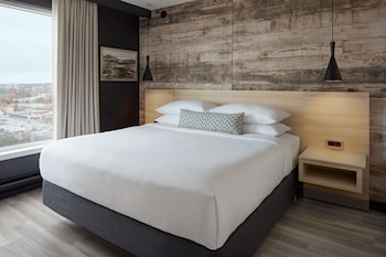 Suite, 1 Bedroom