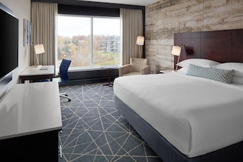 Room, 1 King Bed