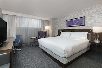 Room, 1 King Bed (Small)