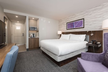 Room, 1 King Bed, Accessible (Mobility & Hearing, Roll-In Shower)