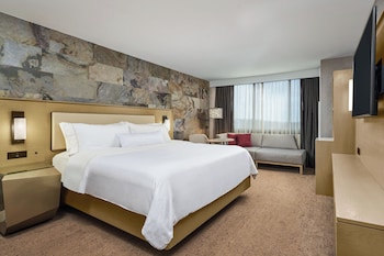 Room, 1 King Bed (Mobility/Hearing Accessible, Tub)