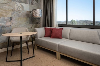 Room, 1 King Bed (Mobility/Hearing Accessible, Tub)