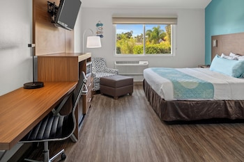 Room, 1 King Bed, Non Smoking