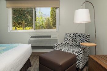Room, 1 King Bed, Non Smoking