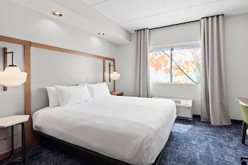 Suite, 1 King Bed with Sofa bed