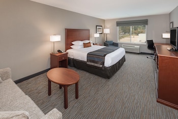 Room, 1 King Bed, Non Smoking