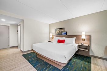 Room, 1 King Bed, Non Smoking