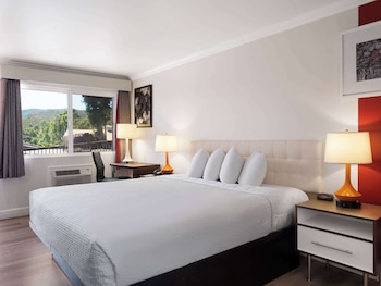 Room, 1 King Bed, Non Smoking