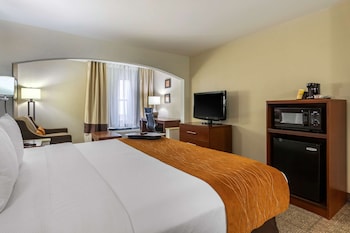 Suite, 1 King Bed with Sofa bed, Non Smoking