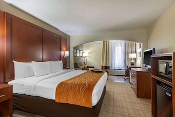 Suite, 1 King Bed with Sofa bed, Non Smoking