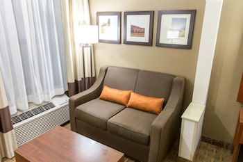 Suite, 1 King Bed with Sofa bed, Non Smoking