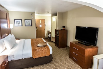 Suite, 1 King Bed with Sofa bed, Non Smoking