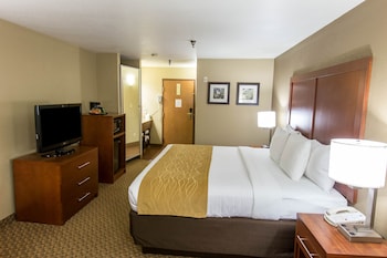 Standard Room, 1 King Bed, Non Smoking