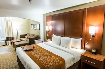 Executive Suite, 1 King Bed with Sofa bed, Non Smoking