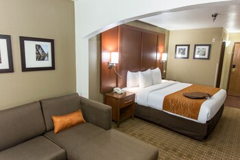Executive Suite, 1 King Bed with Sofa bed, Non Smoking