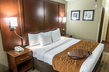 Executive Suite, 1 King Bed with Sofa bed, Non Smoking