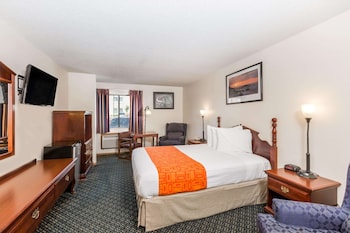 Room, 1 Queen Bed, Non Smoking (Pet Friendly)