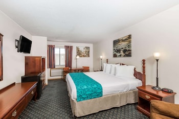 Room, 1 Queen Bed, Non Smoking (Pet Friendly)