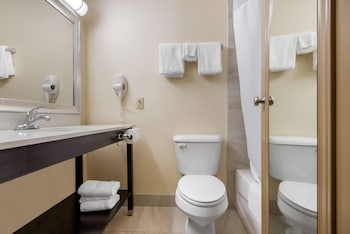 Standard Double Room, 2 Double Beds, Non Smoking (Pet Friendly)