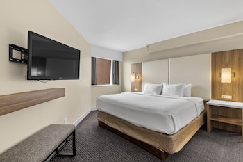 Suite, 1 Bedroom