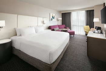 Suite, 1 Bedroom