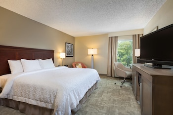 Room, 1 King Bed, Accessible, Non Smoking