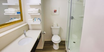Room, Accessible (Roll-in Shower)