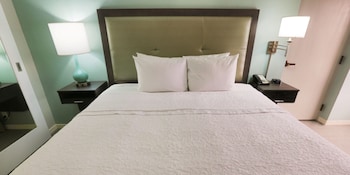 Room, 1 King Bed, Non Smoking, Refrigerator (Shower Only)