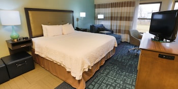 Room, 1 King Bed, Non Smoking, Refrigerator (Shower Only)