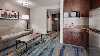 Standard Room, 1 King Bed, Non Smoking, Refrigerator & Microwave (Larger Room;with Sofabed)