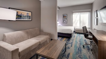 Standard Studio, 1 King Bed, Refrigerator & Microwave, Corner (Living Room;with Sofabed)