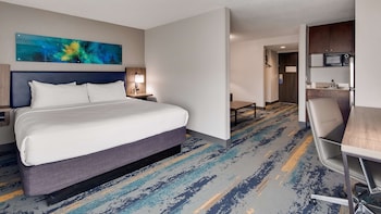 Standard Room, 1 King Bed, Non Smoking, Refrigerator & Microwave (Larger Room;with Sofabed)