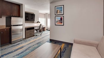 Standard Room, 1 King Bed, Non Smoking, Refrigerator & Microwave (Larger Room;with Sofabed)