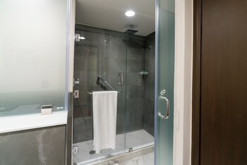 Family Room (Premium Level)