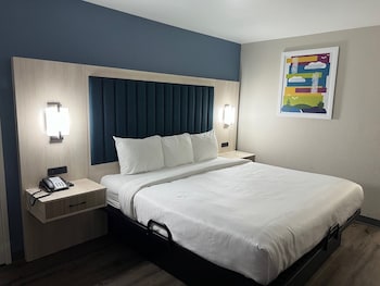 Room, 1 King Bed, Accessible, Non Smoking