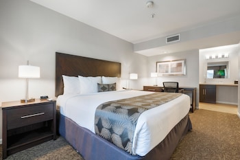 Standard Studio Suite, 1 Bedroom