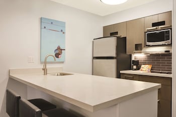 Suite (1 King Bed)