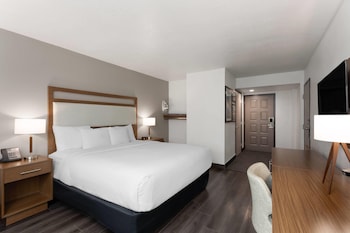 Room, 1 King Bed, Accessible, Non Smoking (Mobility/Hearing Accesible)