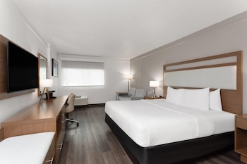 Room, 1 King Bed with Sofa bed, Non Smoking