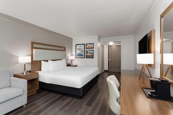 Room, 1 King Bed with Sofa bed, Non Smoking