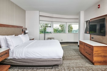 Room, 1 King Bed, Accessible (Mobility & Hearing, Roll-in Shower)