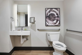 Room, 1 King Bed, Accessible, Bathtub (Mobility & Hearing)