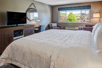 Room, 1 King Bed, Microwave